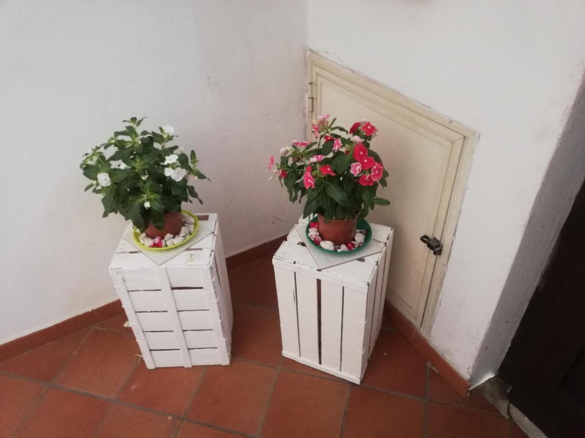 Cappucciniroom Palermo Dış mekan fotoğraf
